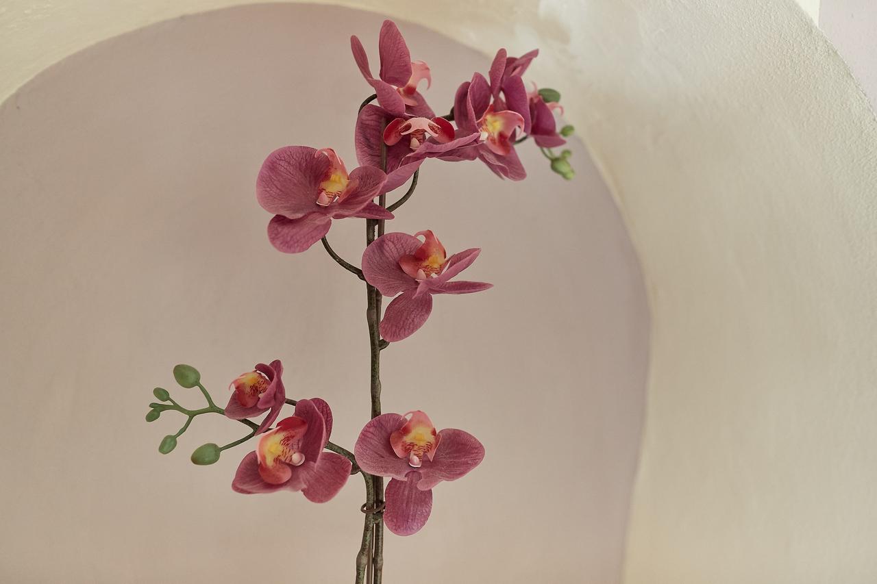 B&B Di Piazza Del Duomo Florencja Zewnętrze zdjęcie